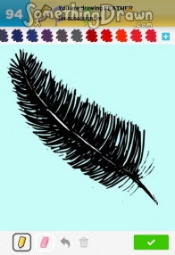 feather